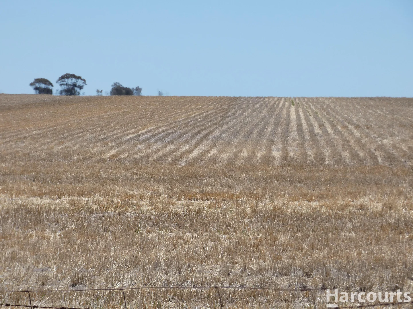 Additional image 10 of . Degenhardts Road, Murtoa VIC 3390