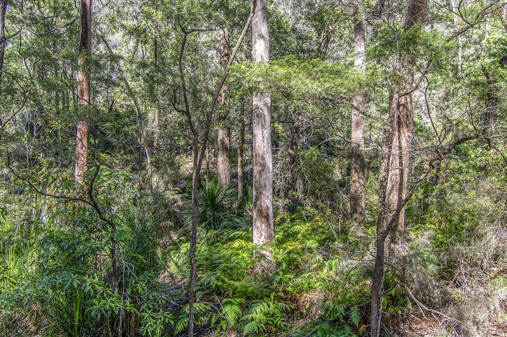 Image 10