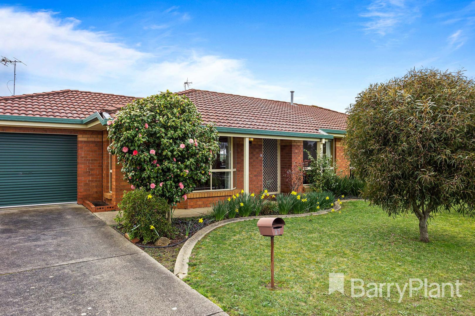 1/17 Jack Court, Alfredton VIC 3350, Image 1