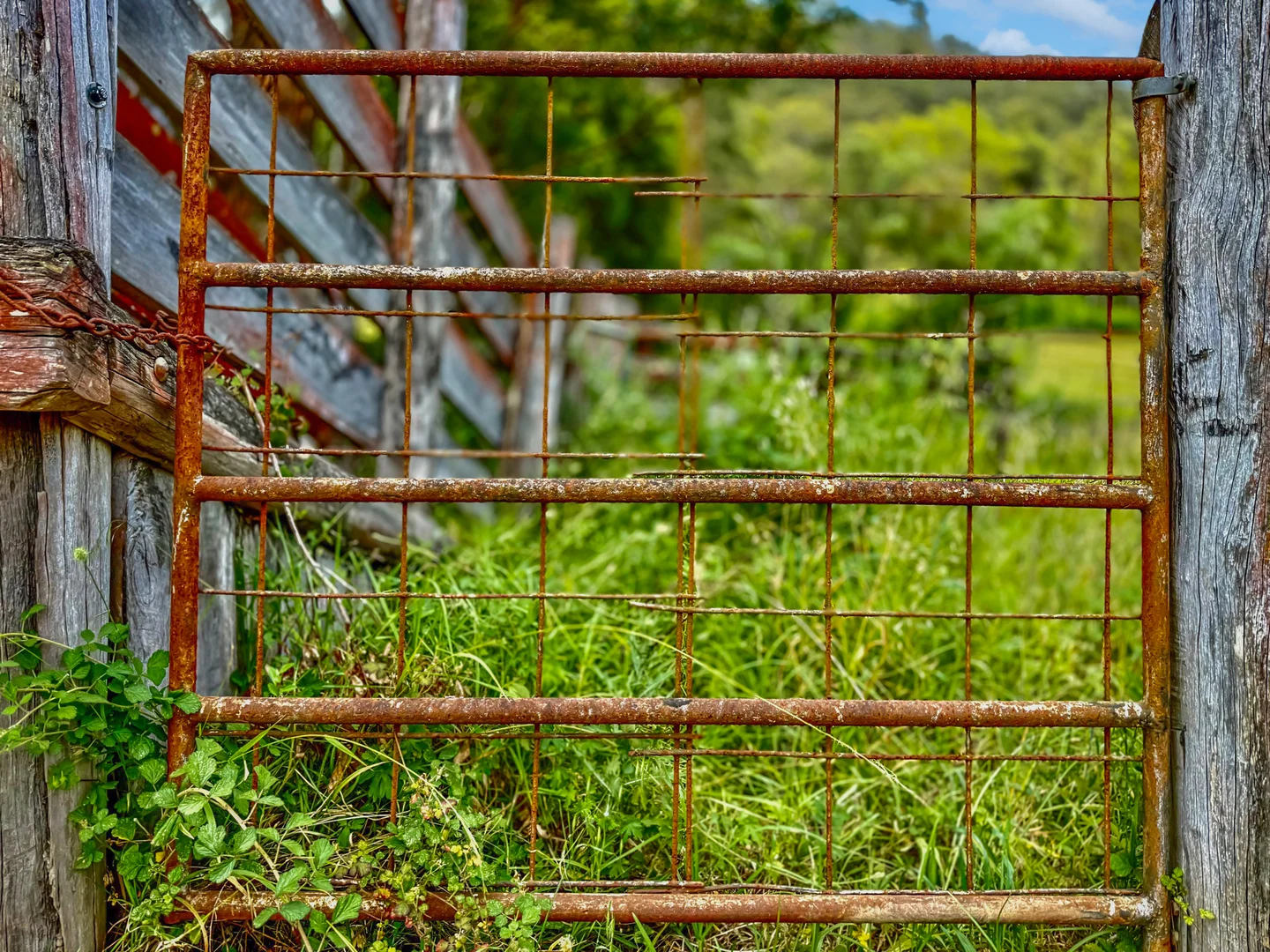 Additional image 8 of Lot 12 & 13 Narone Creek Road, Wollombi NSW 2325