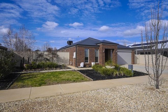 102 Rental Properties In Shepparton Vic 3630 Domain