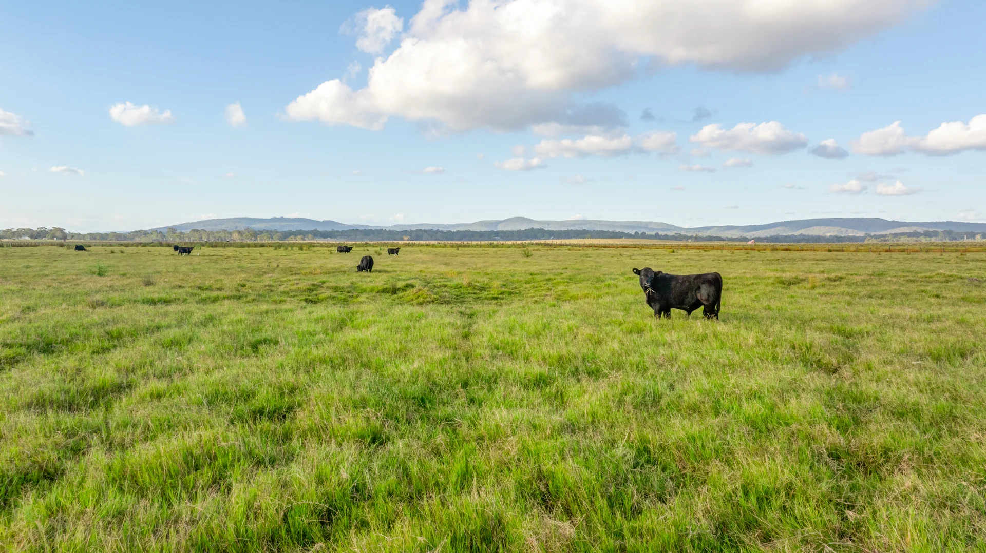 Additional image 18 of 303 Clarence Town Road, Woodville NSW 2321