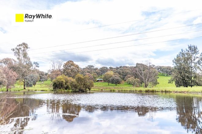 Picture of 113 Gocup Farms Road, GOCUP NSW 2720