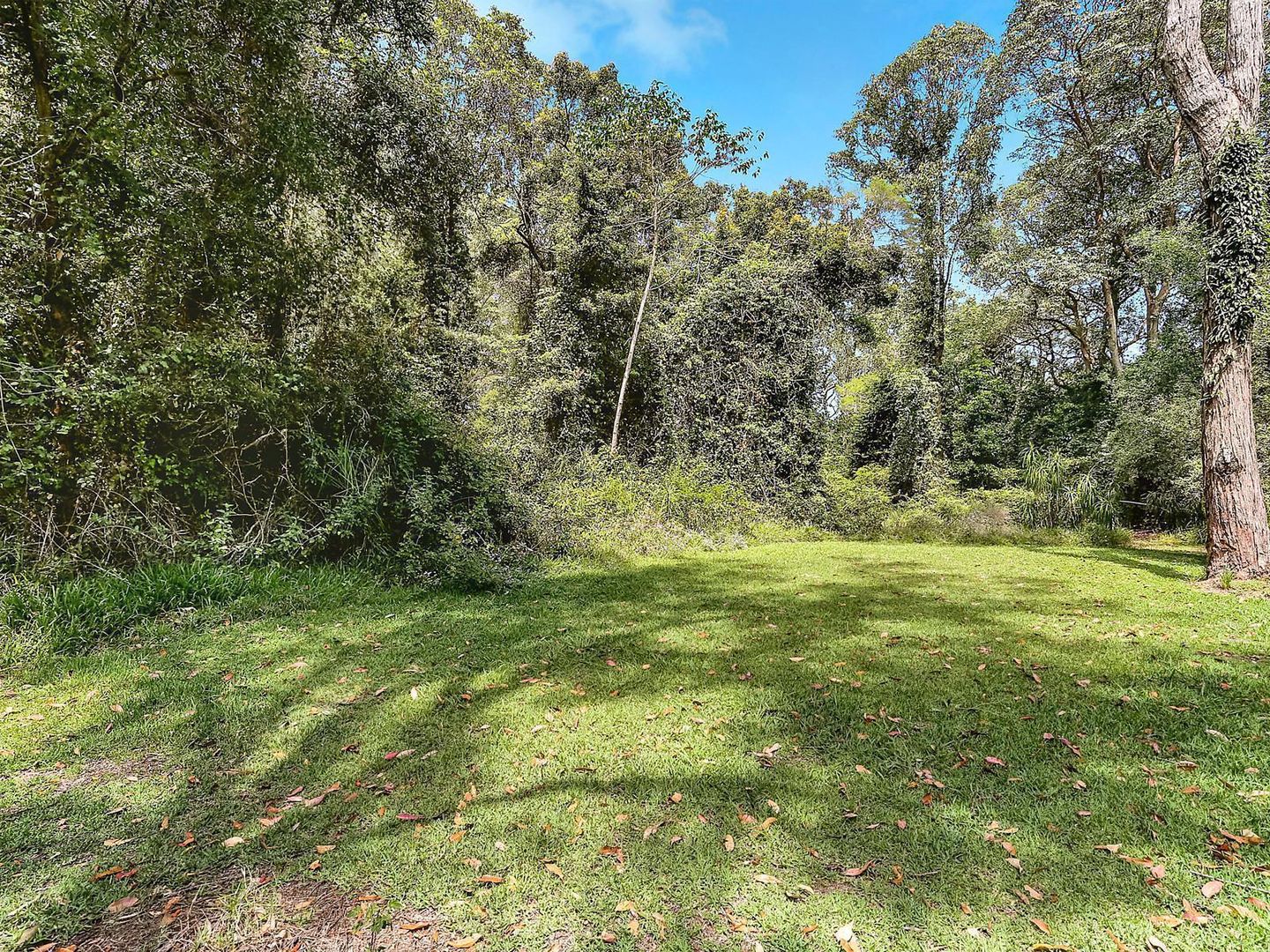 30 Moller Drive, Sawtell NSW 2452, Image 2