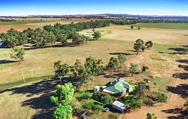 Picture of 656 Eulomo Settlement Road, BETHUNGRA NSW 2590