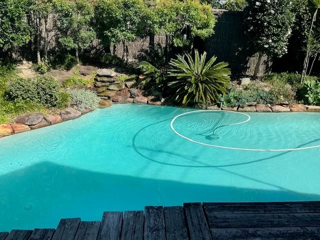 Additional image 14 of 156 Frenchs Forest Road, Frenchs Forest NSW 2086