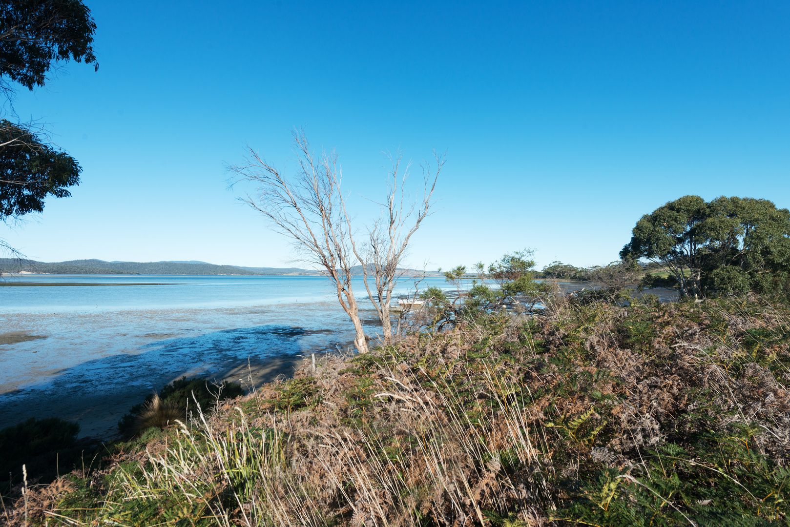 656 Bay Road, Marion Bay TAS 7175, Image 1