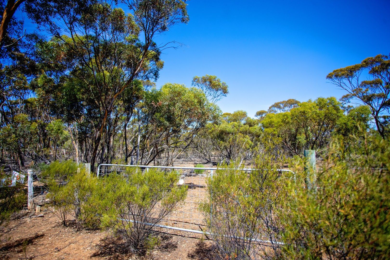 90 Cattlin Road, Ravensthorpe WA 6346 House for Sale 205,000