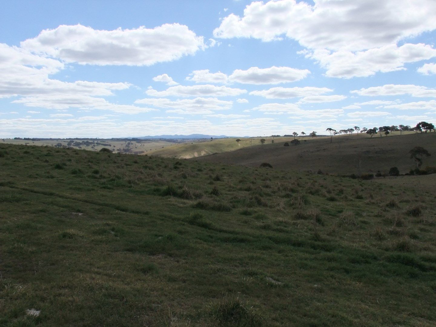 Lot 107 Browns Creek Road, Blayney NSW 2799, Image 0