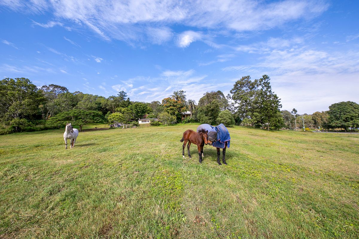 140 Cliveden Avenue, Corinda QLD 4075, Image 1