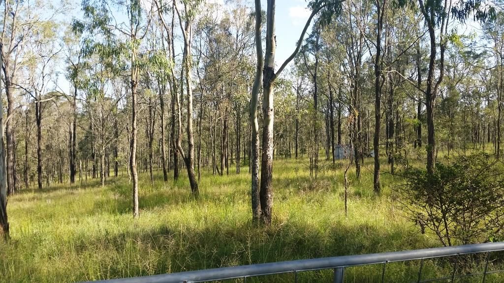 Lot 19 Brazier Road, Runnymede QLD 4615, Image 0