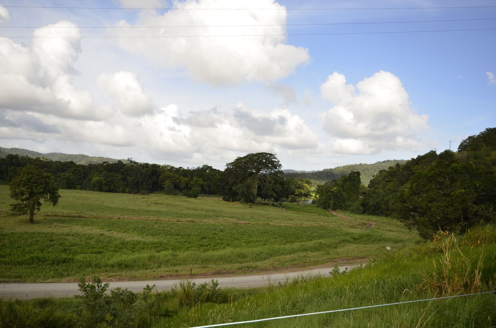 159 Upper Daintree Road, Upper Daintree Property History & Address Research Domain
