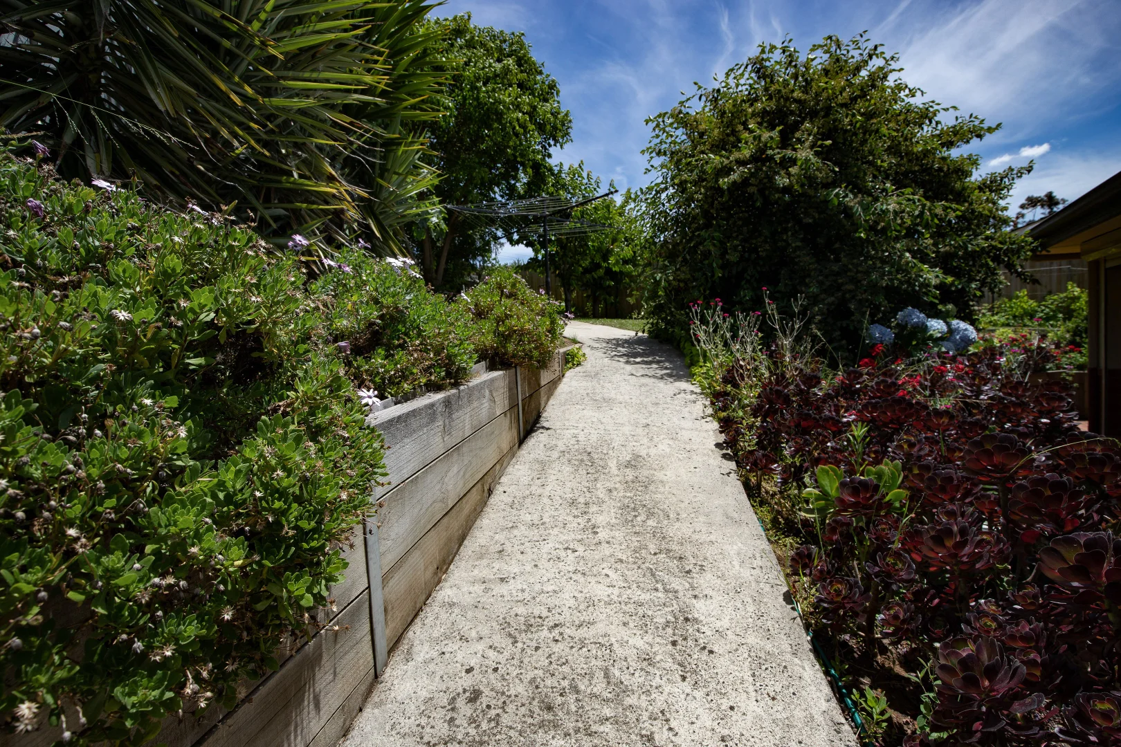 Image 37