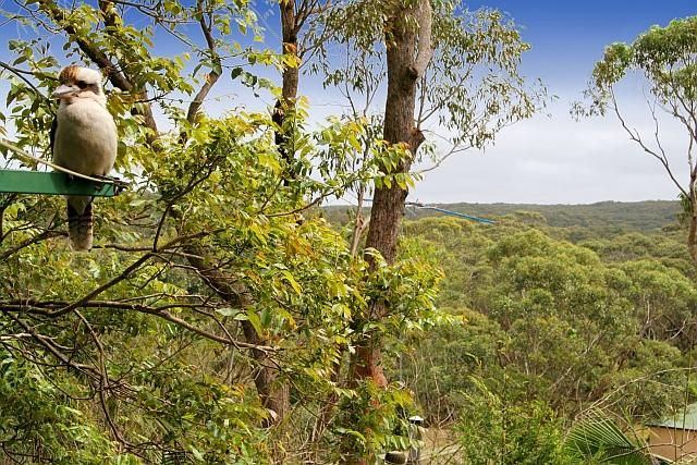 88 Brighton Street, BUNDEENA NSW 2230, Image 1