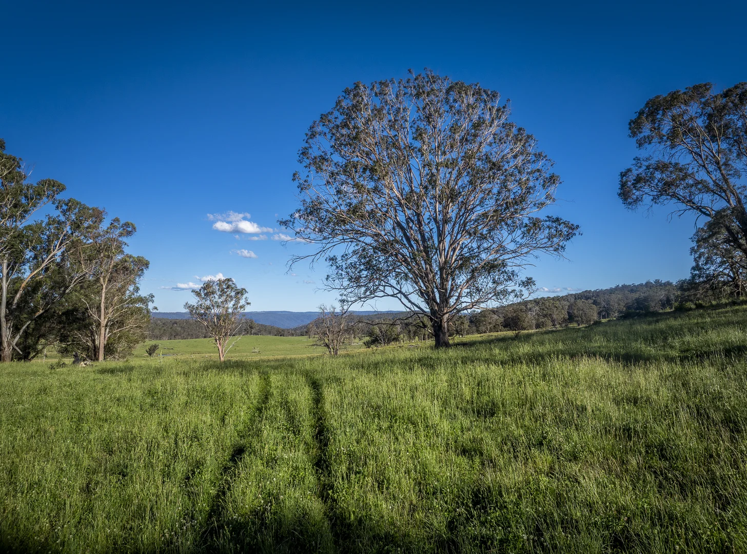 Additional image 25 of 161 Hickeys Road, Wongwibinda NSW 2350