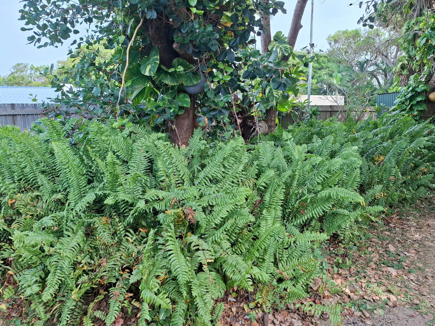 Image 12