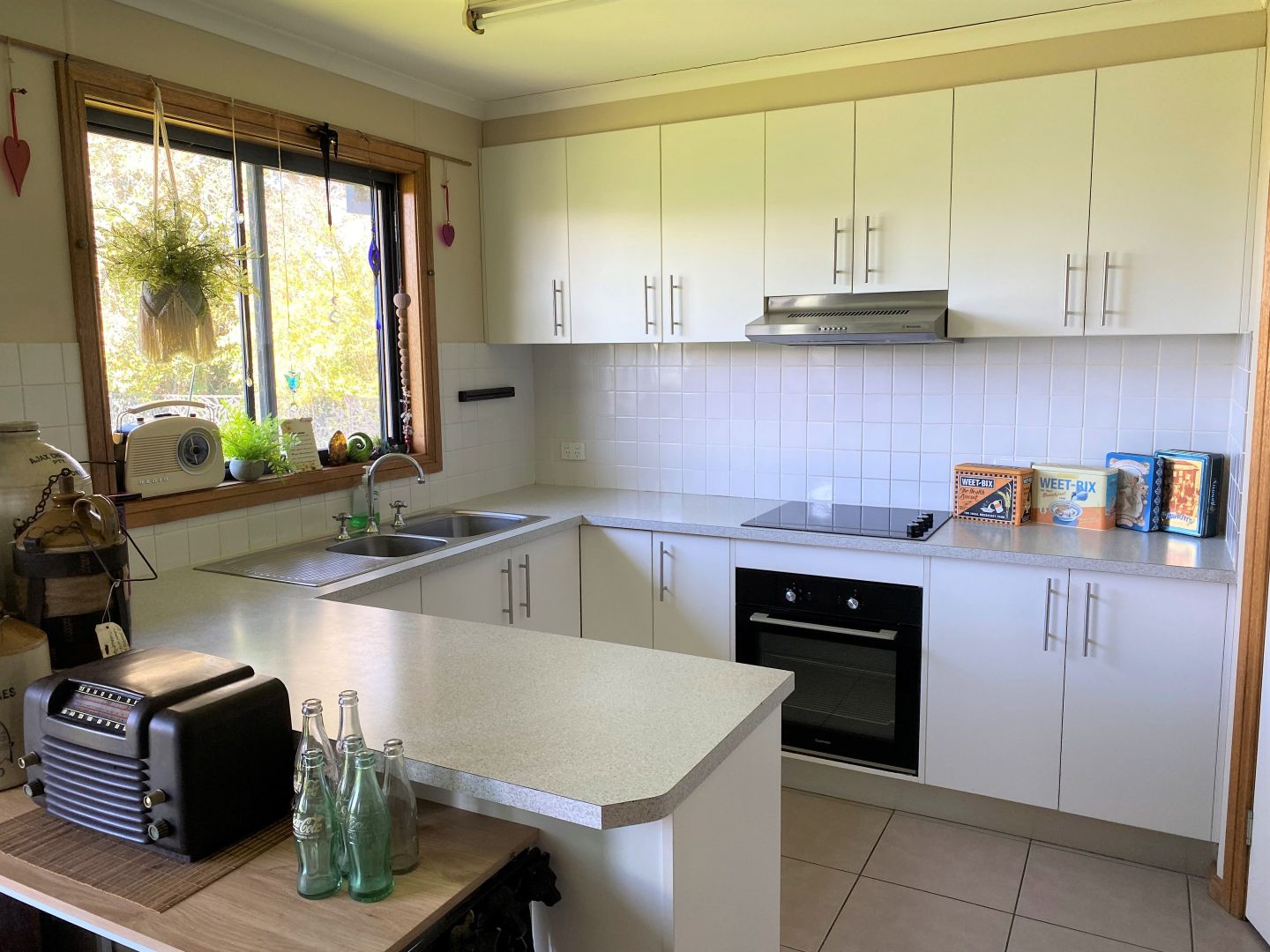 5 Hogan Place, Cobar NSW 2835 House For Rent 350 Domain