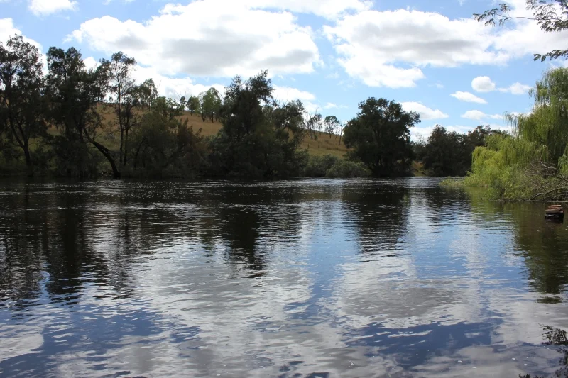 Additional image 7 of 'Fernlee' 557 Pindari Dam Rd, Ashford NSW 2361