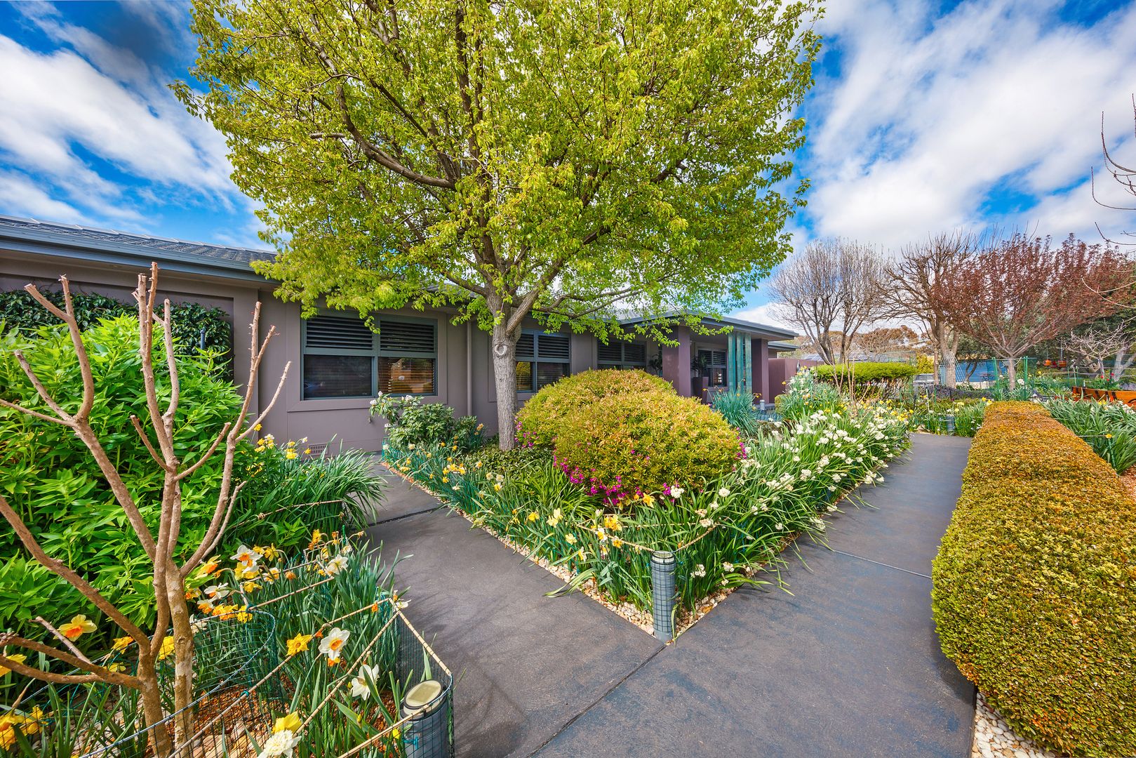 25 Darmody Street, Weetangera ACT 2614, Image 1