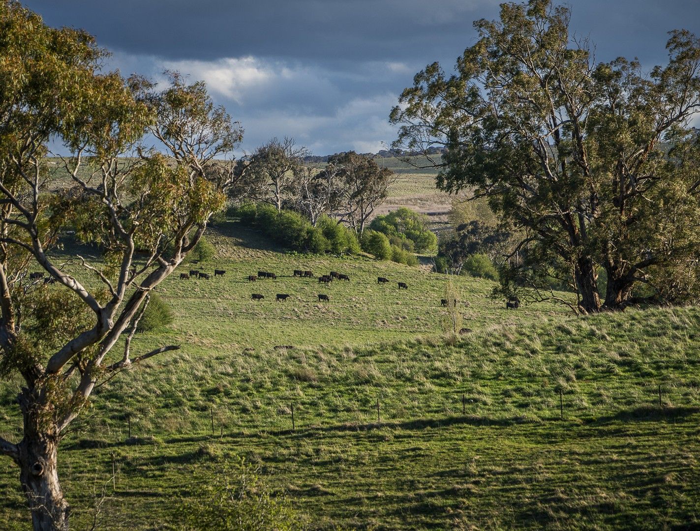 Rural in 69 Roseberry Road, TARALGA NSW, 2580