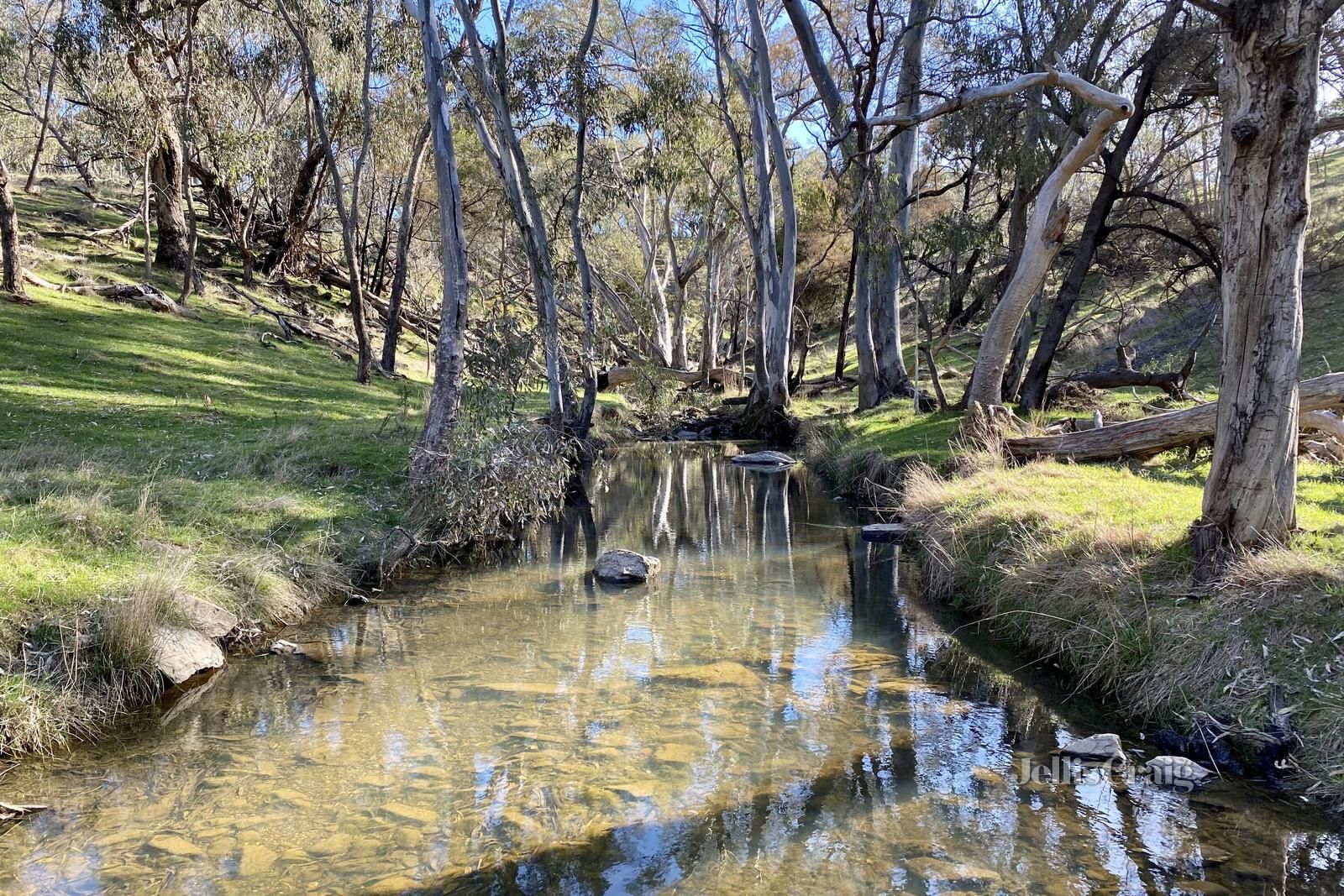 Lot 1 Morgans Road, Barfold VIC 3444, Image 1