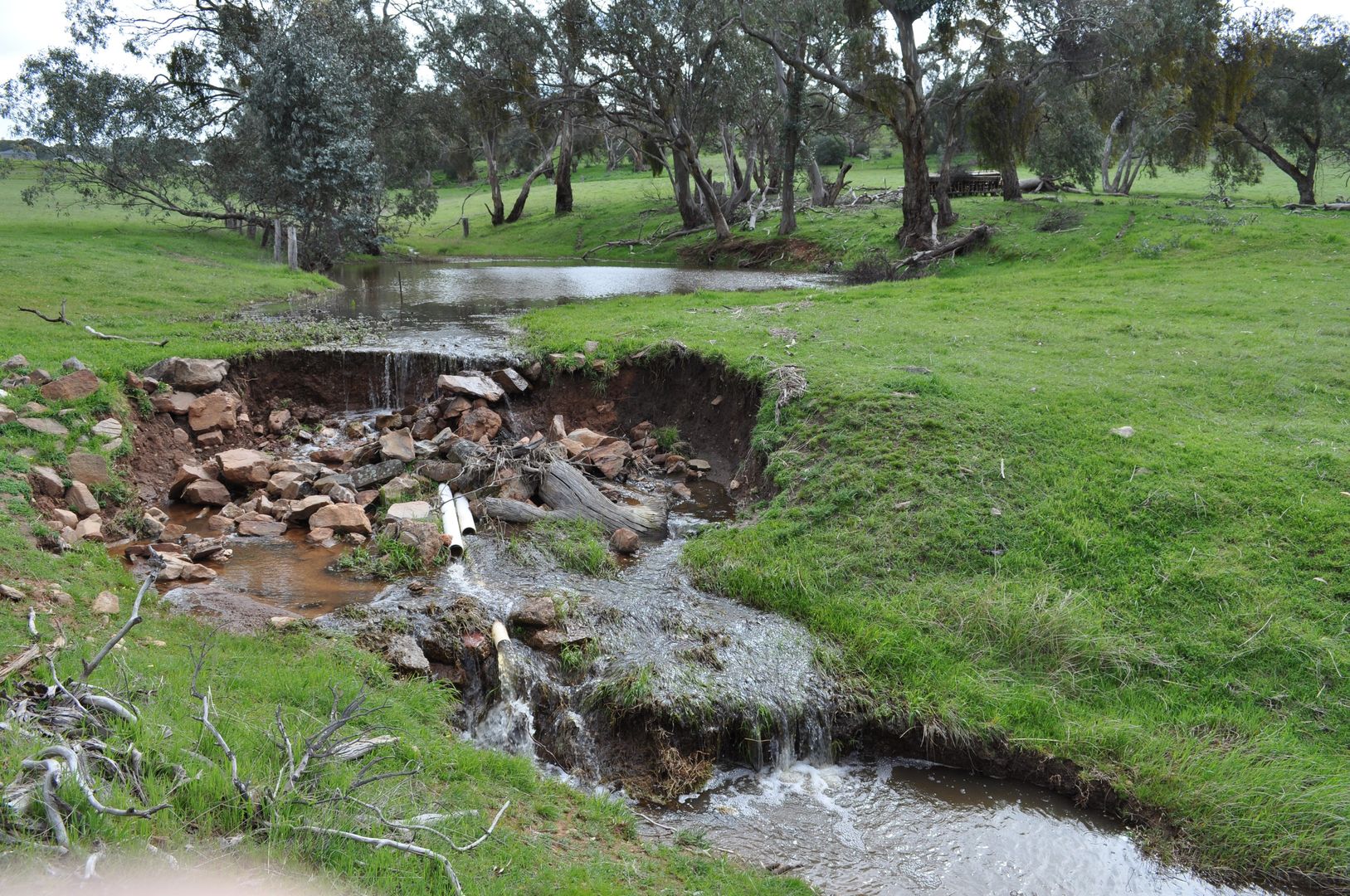 Bundaleer Gardens SA 5491, Image 2