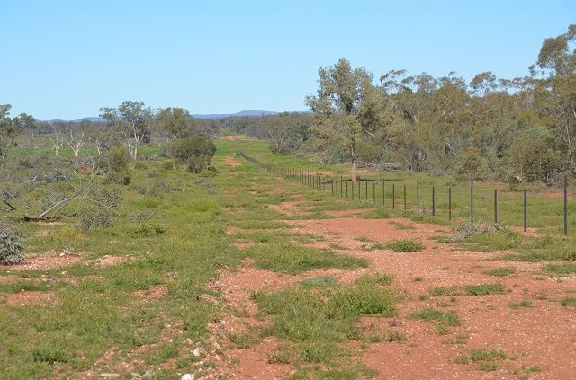 * Shady Camp, Hermidale NSW 2831, Image 0