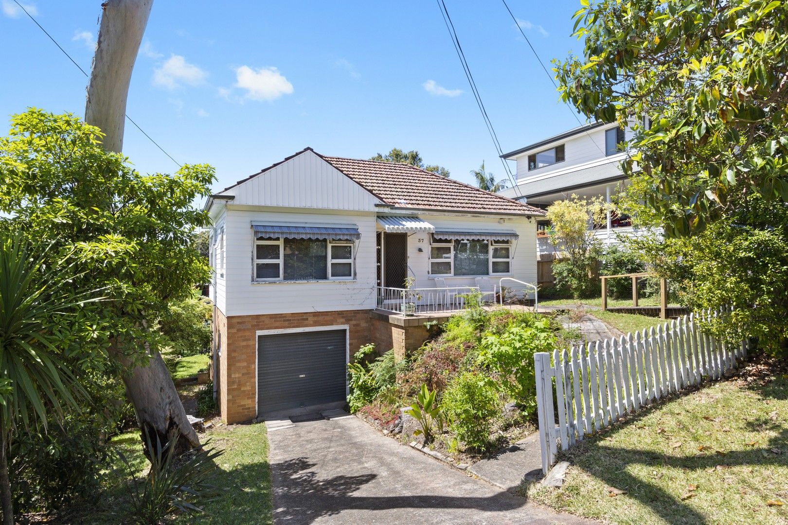 37 Prescott Avenue, Dee Why NSW 2099, Image 0