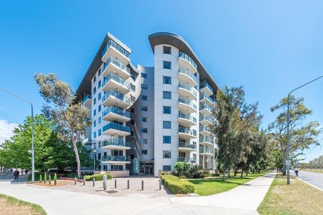 505 Apartments For Rent In Canberra Act Domain