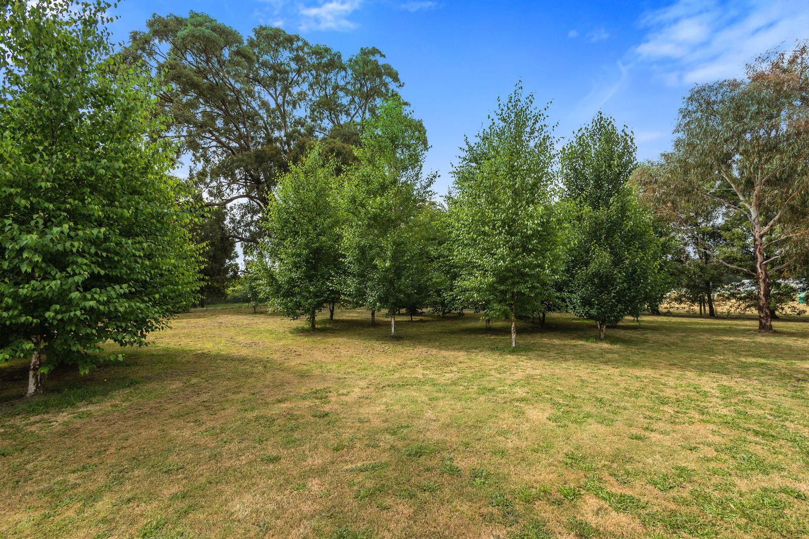 Lot 2, 113 High Street, Trentham VIC 3458, Image 2