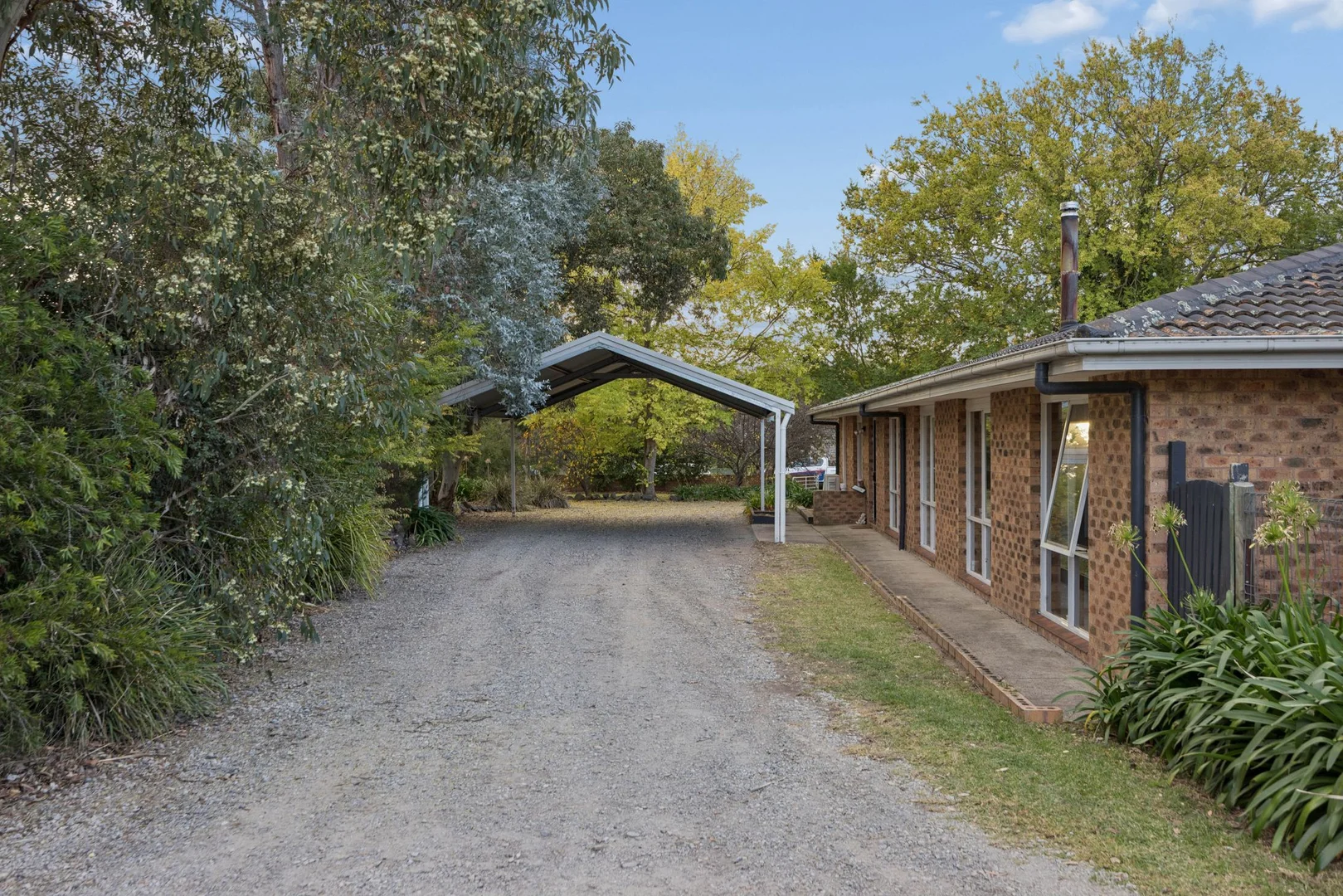 Image 26