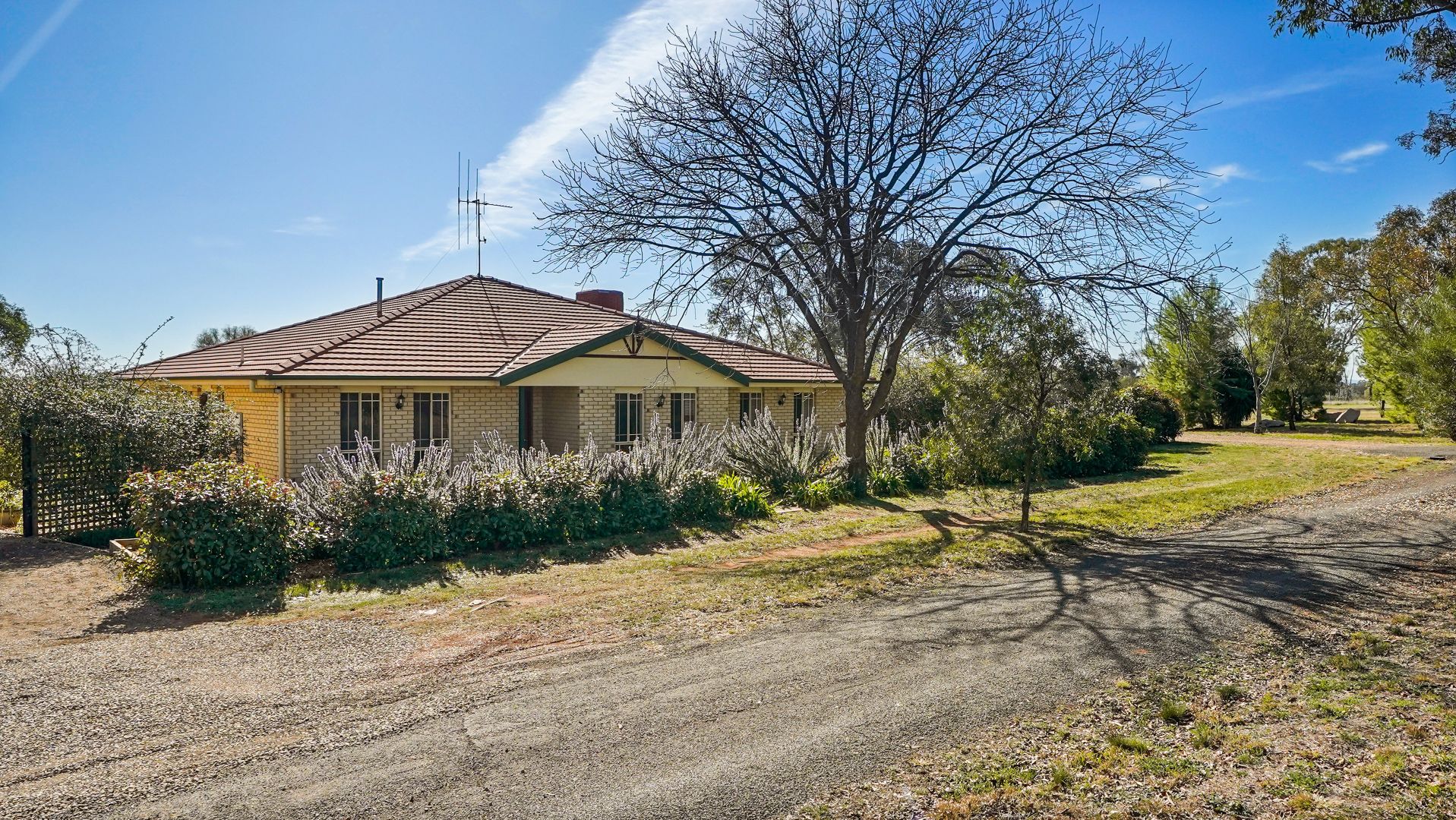 113 Calarie Road, Forbes NSW 2871, Image 2