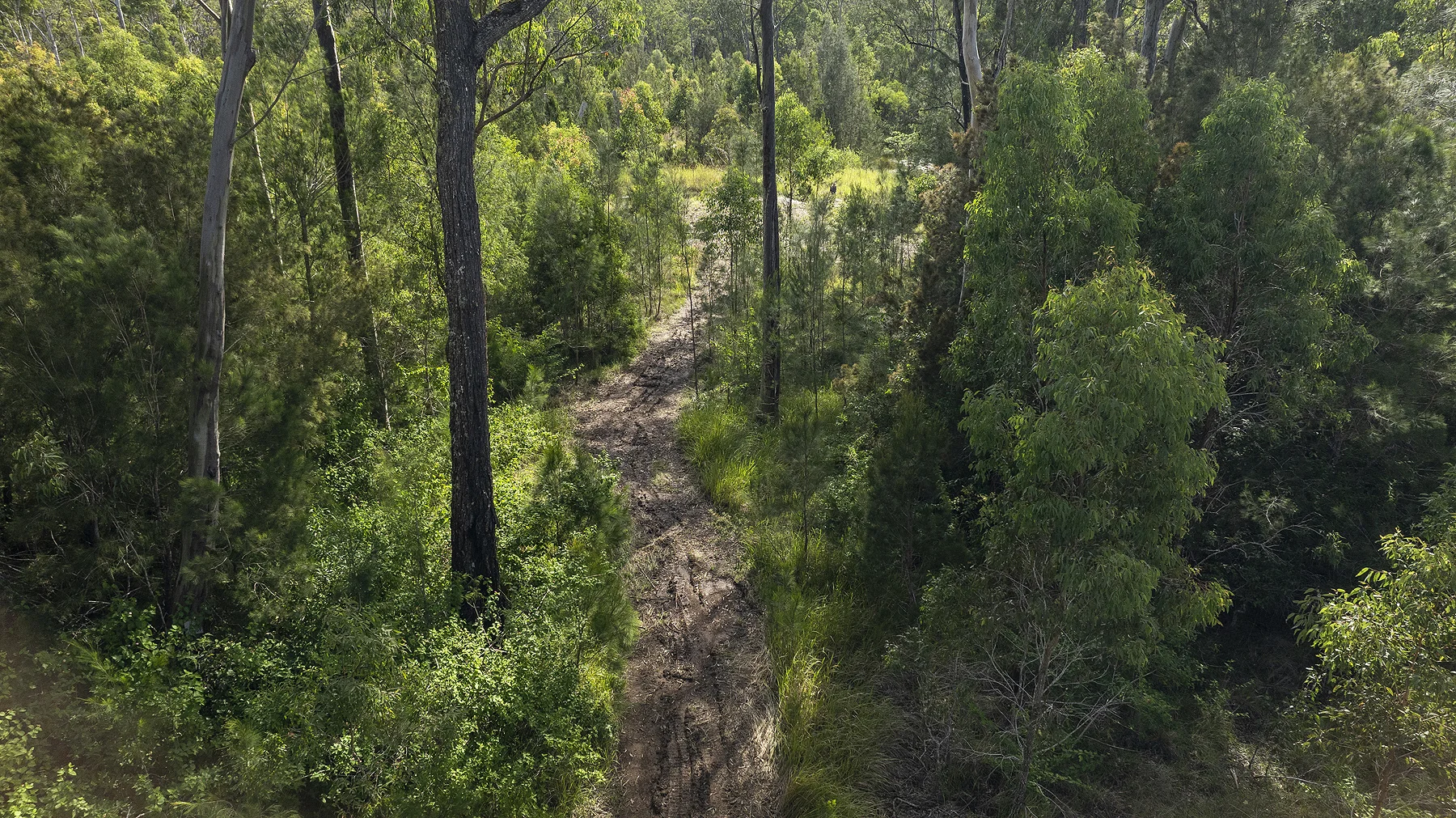 Image 14