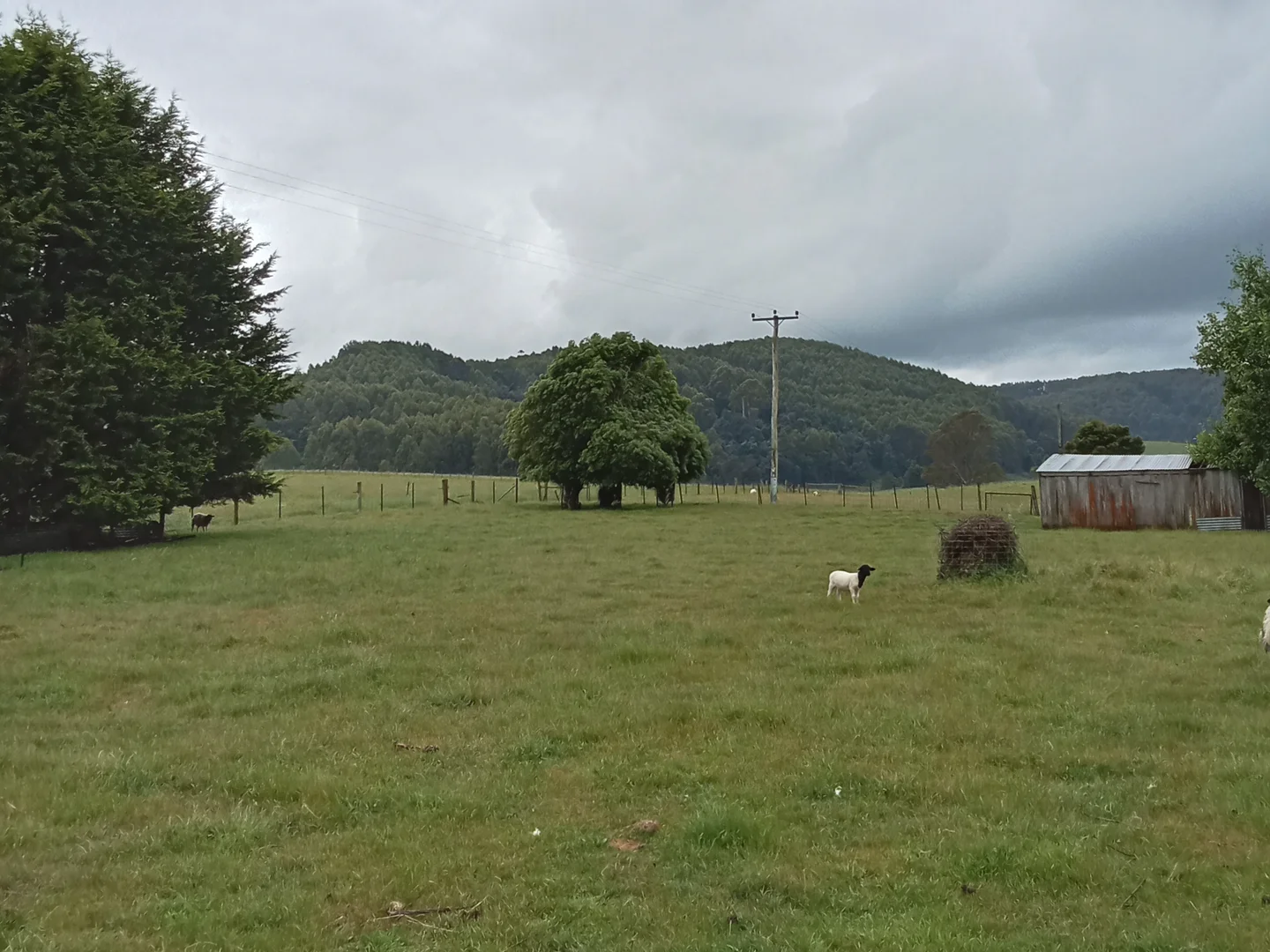 Additional image 8 of Springfield TAS 7260