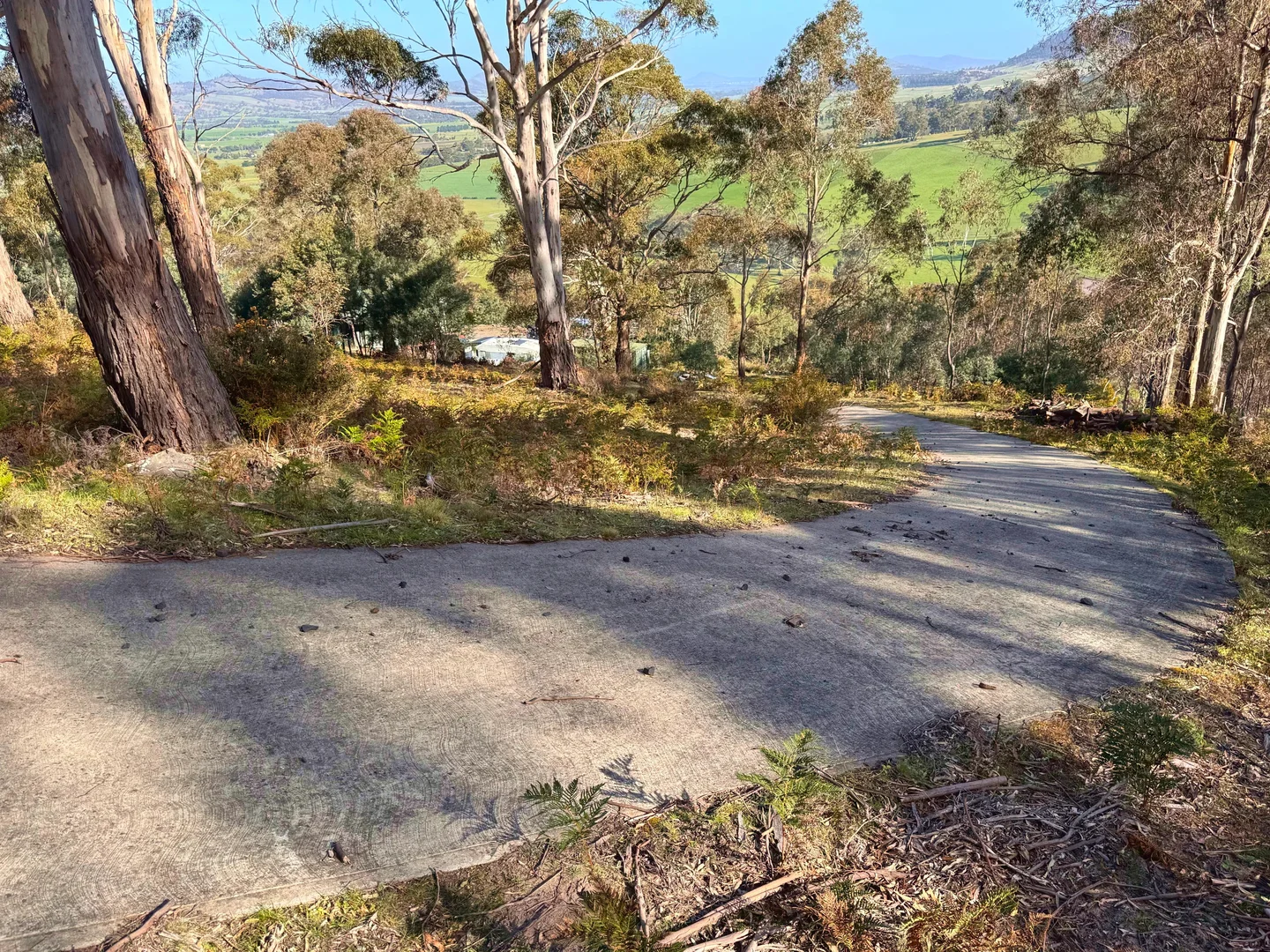 Image 13