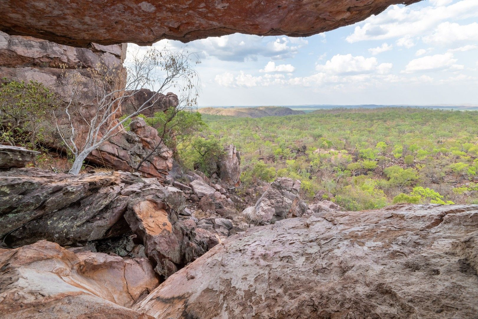 Silkwood, Adelaide River NT 0846, Image 0