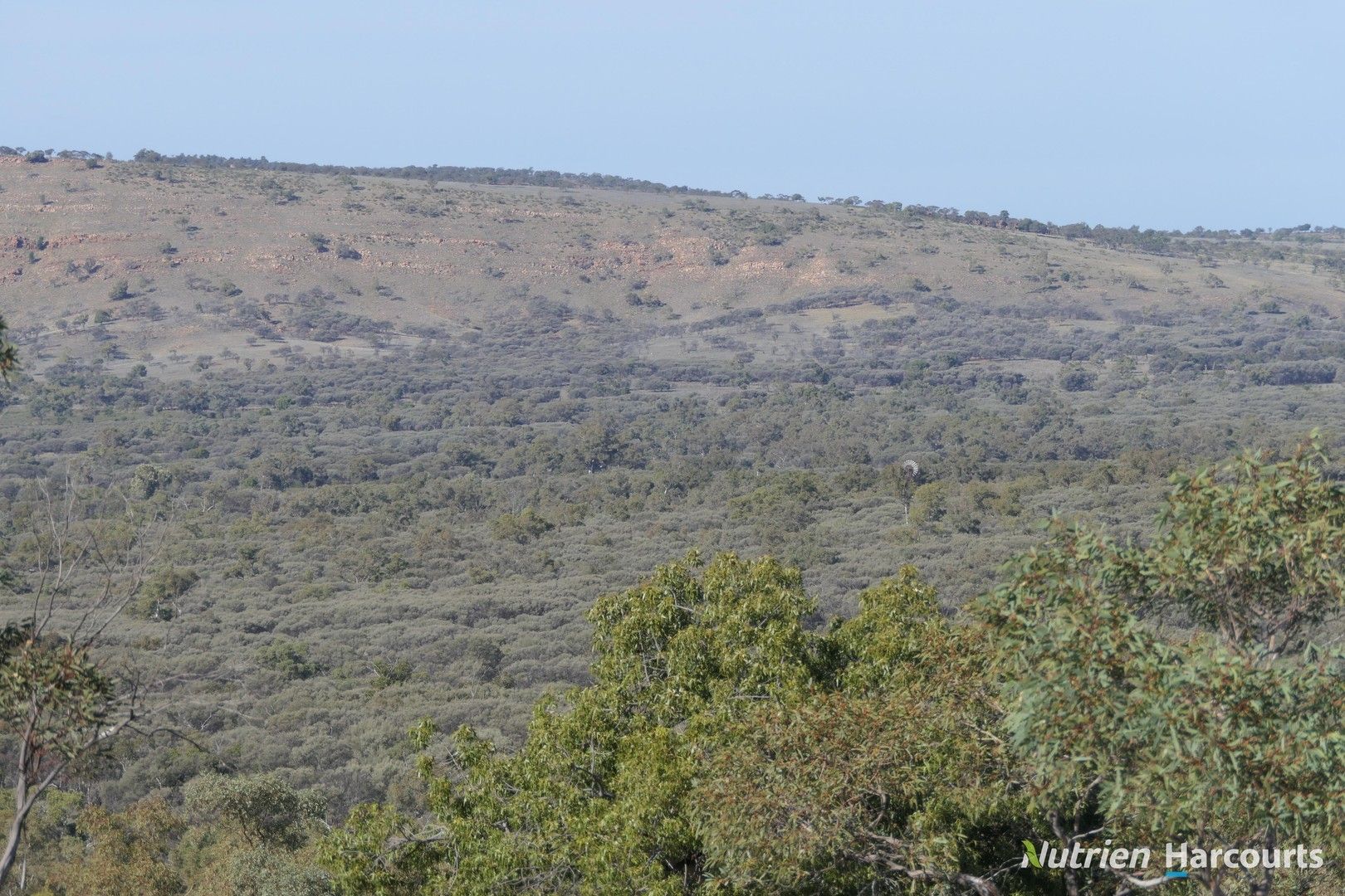 * Iona, Cobar NSW 2835 Farm for Sale 3,300,000 Domain