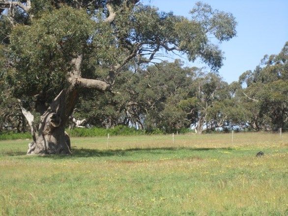 Lot 118 Lawless Lane, Myponga SA 5202, Image 0