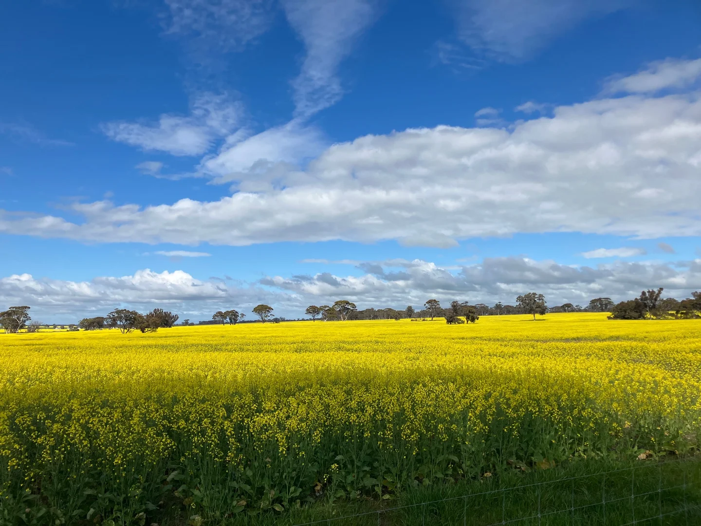 Image 15