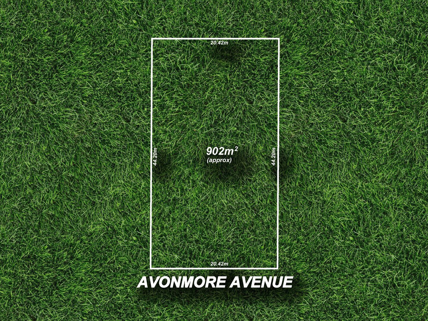 43 Avonmore Avenue, Trinity Garden Property History & Address