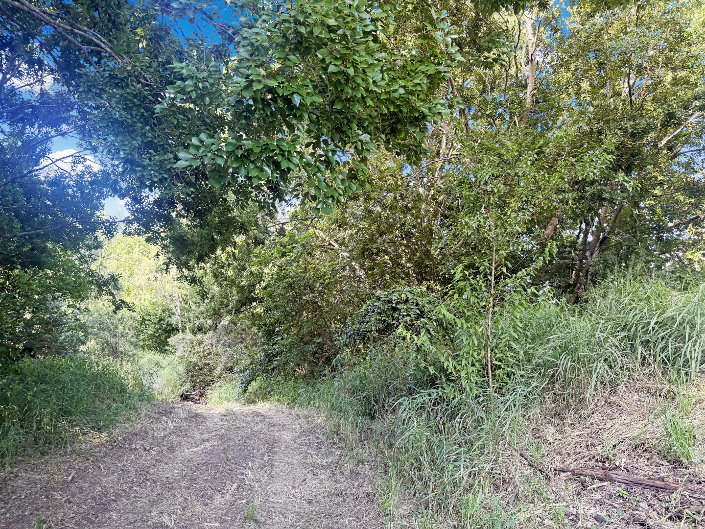 Image 8