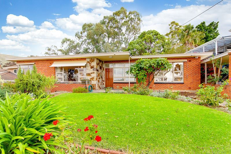 49 Blythewood Road, Mitcham SA 5062, Image 0