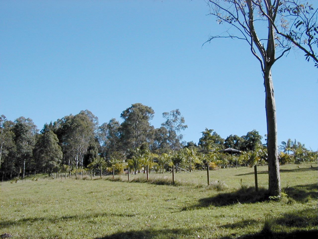 99 Simba Road, West Woombye QLD 4559, Image 2