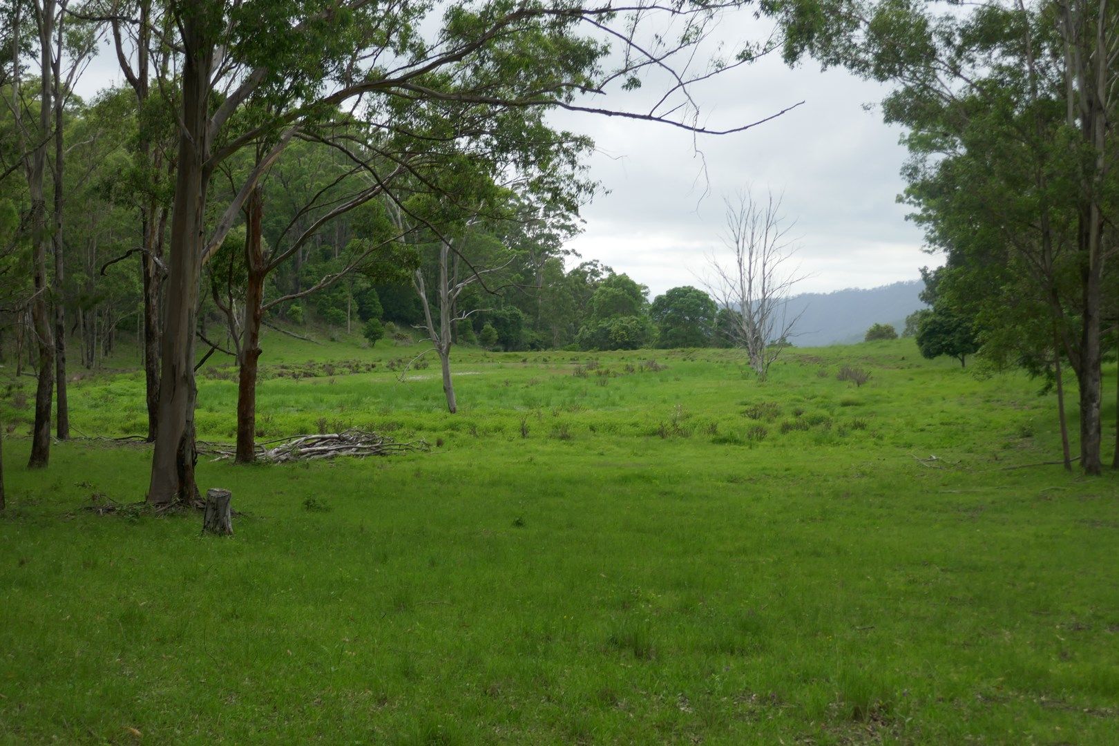 Lots 393 & 394 Gorge Creek Road, Kyogle NSW 2474, Image 0