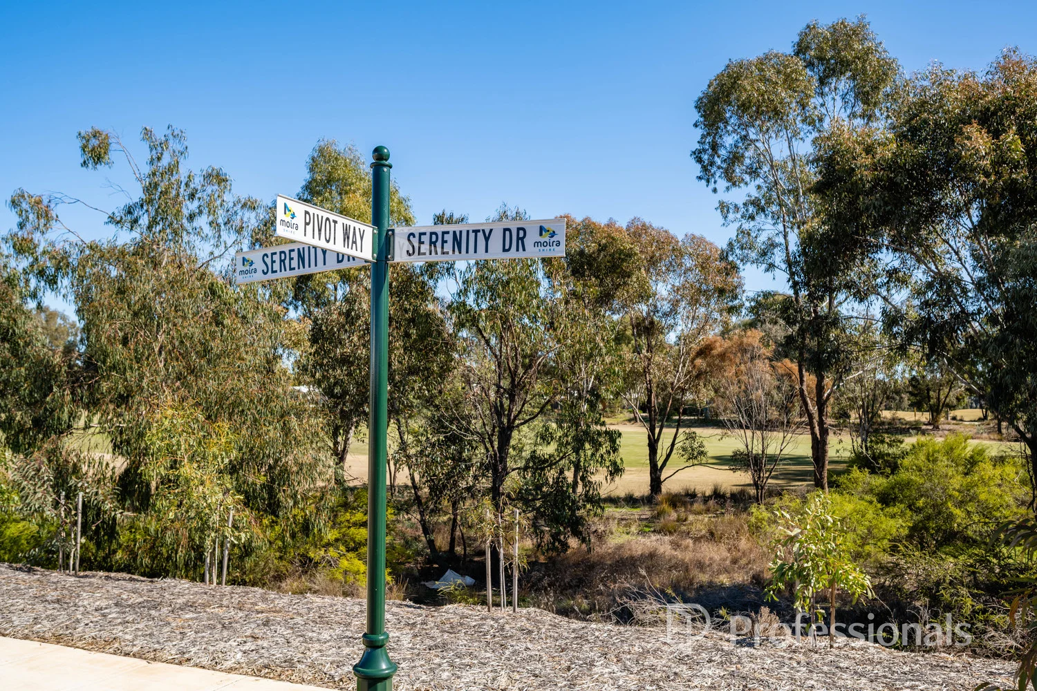 Image 12