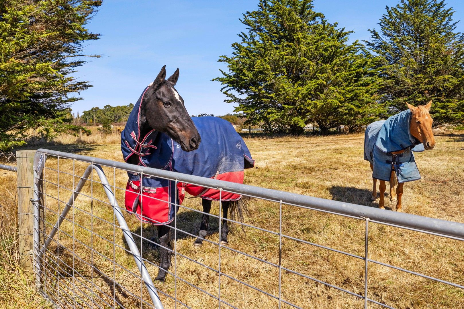 156 Russells Road, Woodend North VIC 3442, Image 0