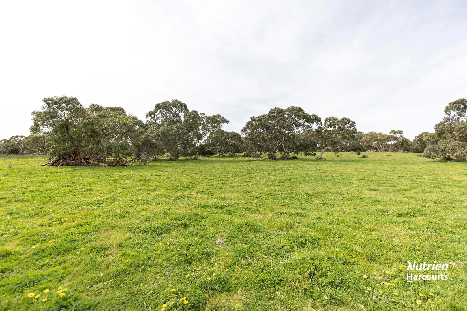 Image 29