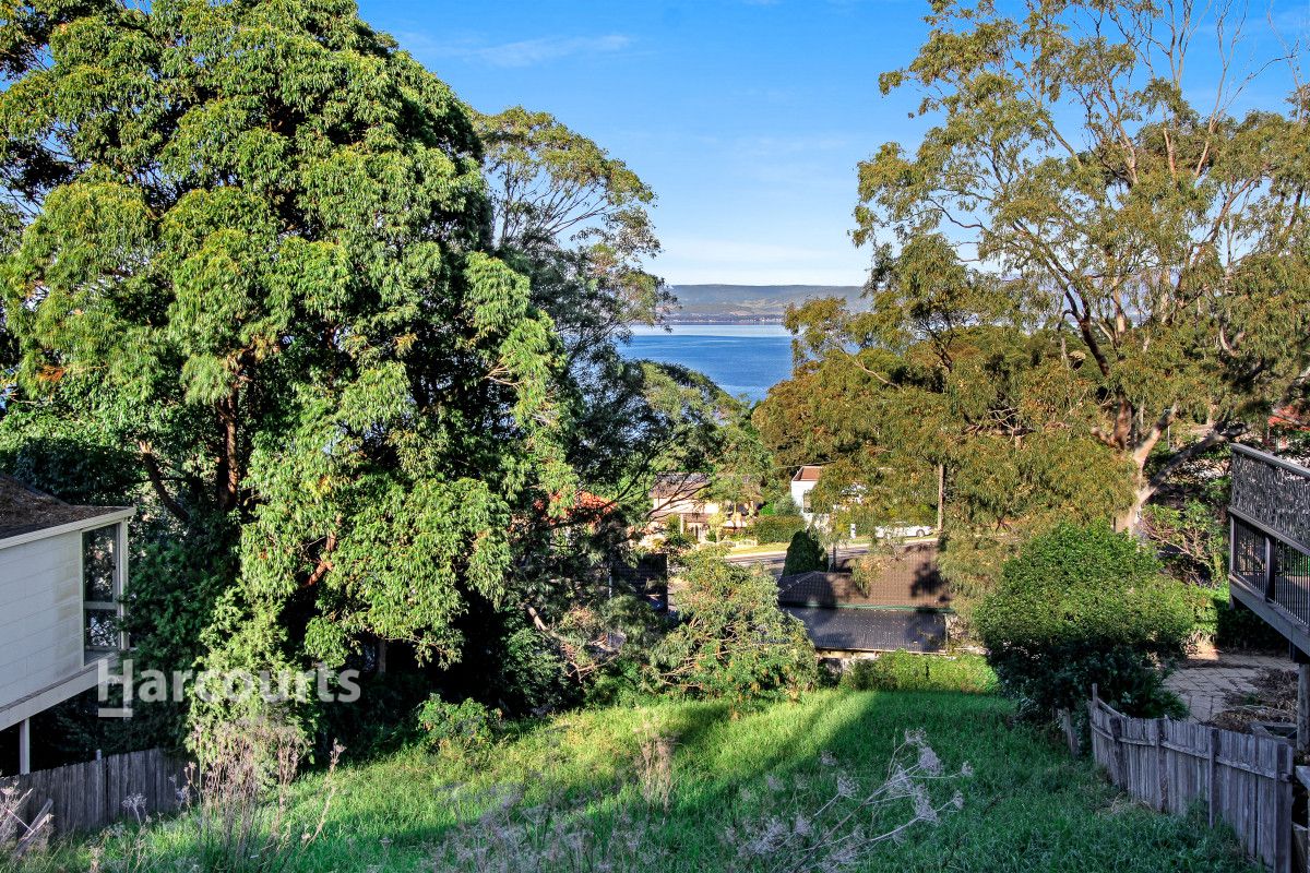 31 Hassan Street, Lake Heights NSW 2502, Image 0