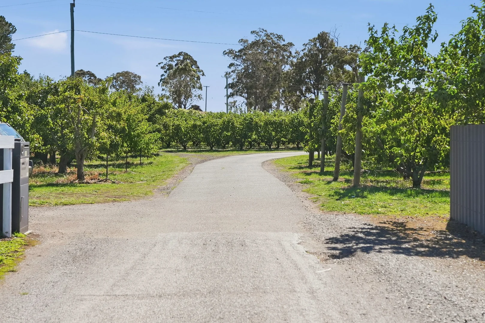 Additional image 16 of 161 John Lees Drive, Dilston TAS 7252