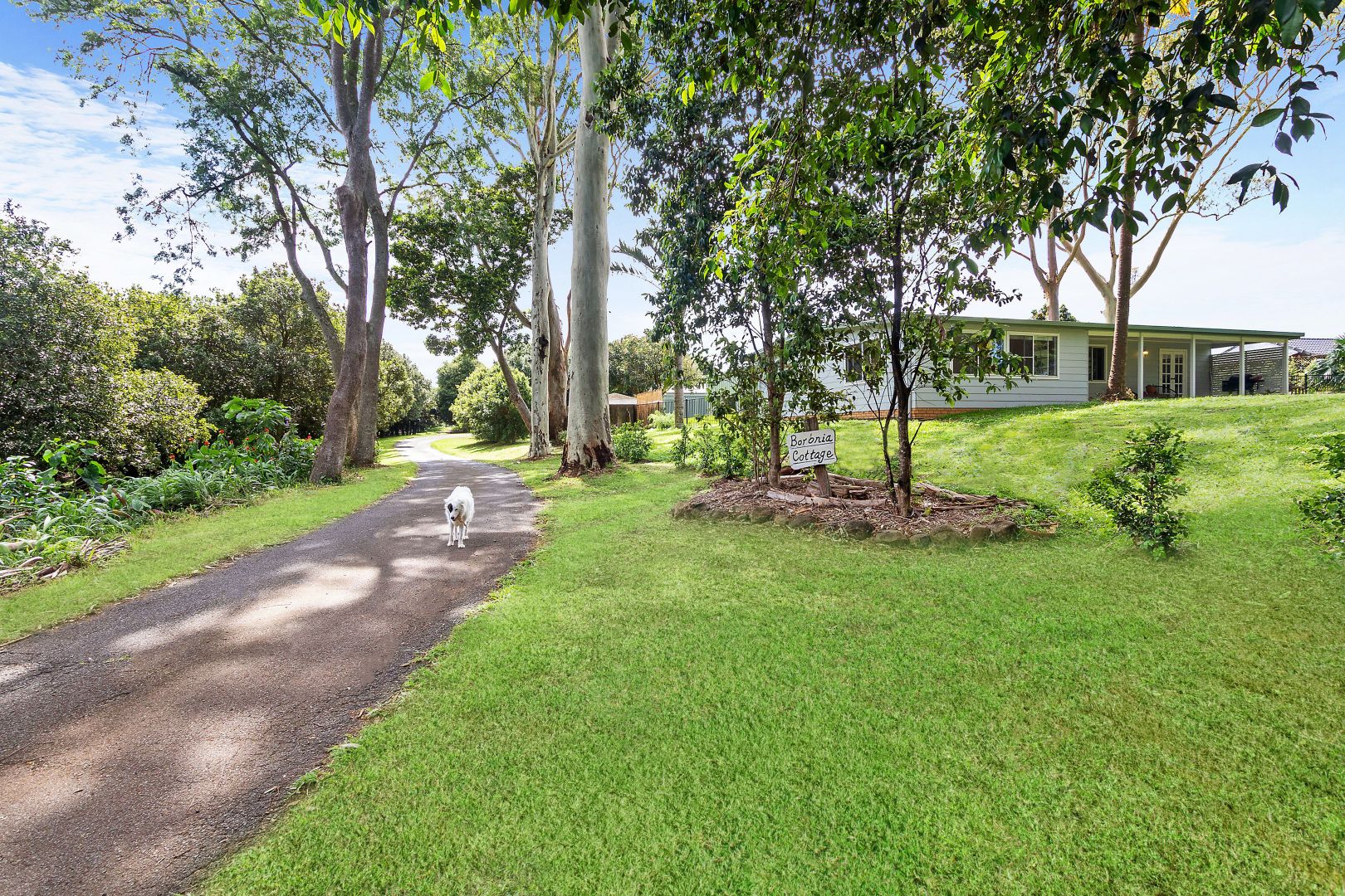 423 Friday Hut Road, Brooklet NSW 2479, Image 2